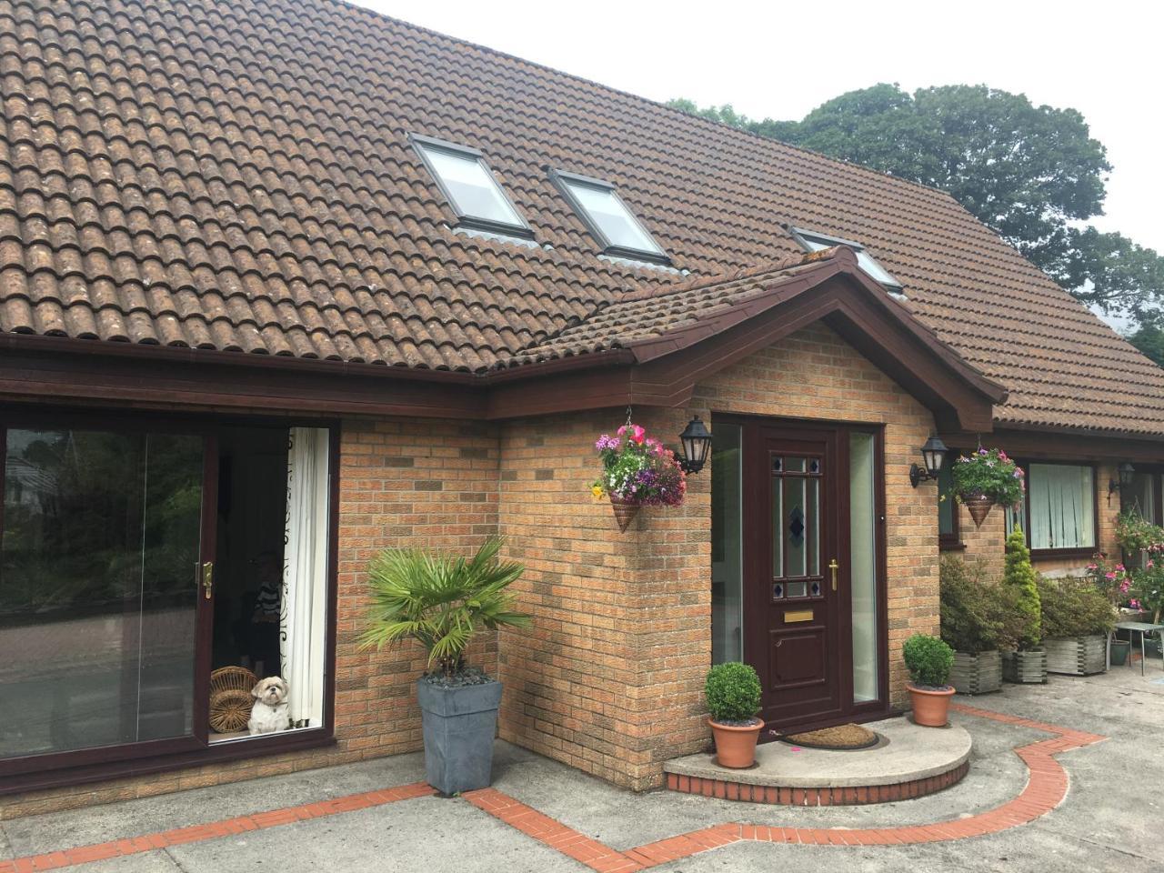 The Firs - Englefield Studio Bed and Breakfast Douglas Zewnętrze zdjęcie